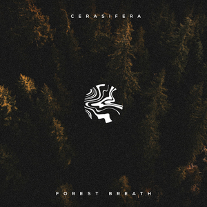 女骑士之堕落篇冷狐版攻略
